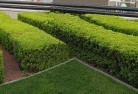 Cooroibahcommercial-landscaping-1.jpg; ?>